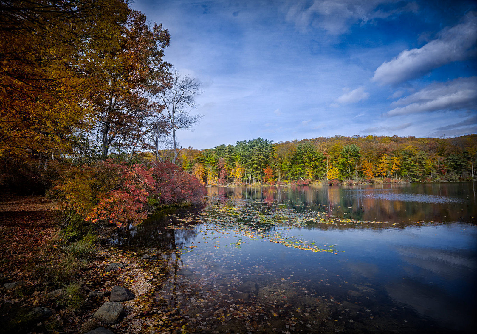 To my imaginary friend Mr J M W Turner